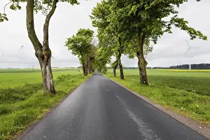 Deserted Windmill Drucke: Windy Road