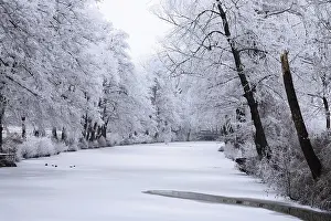 German Countryside Winter Time Drucke: Winter