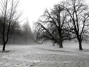 Deserted Winter Landscapes Drucke: Winter