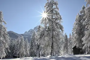 Deserted Winter Wonderland Scene Drucke: Winter