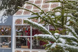 Winter Atmosphere Drucke: Winter atmosphere during snowfall
