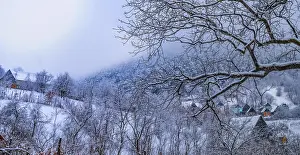 Snowy Landscape Drucke: Winter colors