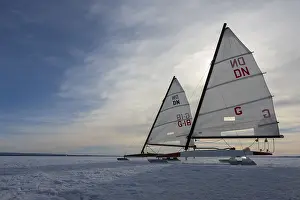 Winter In Lower Saxony Drucke: Winter at Dummer See with