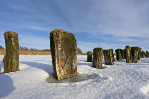 Winter In Lower Saxony Drucke: Winter at Dummer, on ice, Eickhopen