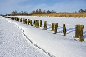 Winter In Lower Saxony Drucke: Winter at Dummer, on ice, Eickhopen