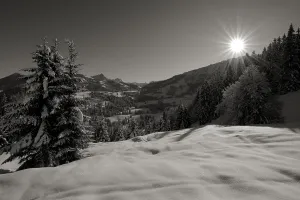 Winter Forest Drucke: Winter forest with mountain range in backlight