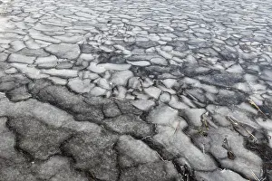 Canadian Winter Landscapes Drucke: Winter, ice pattern formation, Chateauguay River