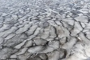 Canadian Winter Landscapes Drucke: Winter, ice pattern formation, Chateauguay River