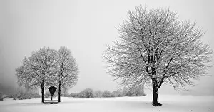 Wintry Nature Scene Drucke: Winter idyll