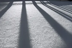 Uninhabited Winter Landscape Drucke: Winter impression, fence casting a shadow on snow