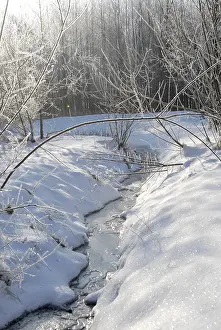 Winter Landscape Drucke: Winter landscape