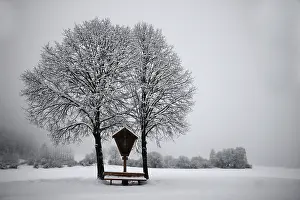 Deserted Winter Scene Drucke: Winter landscape