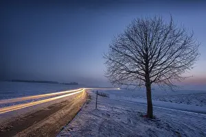Bare Tree Germany Drucke: Winter landscape with bare tree