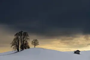Central European Winter Landscapes Drucke: Winter landscape against a dramatic sky