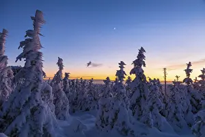 Deserted Winter Landscape Drucke: Winter landscape in the evening light