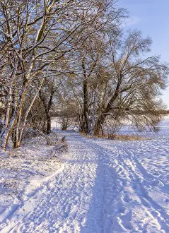 Berlin Winter Landscape Drucke: Winter landscape, fields and fields in Berlin Lubars