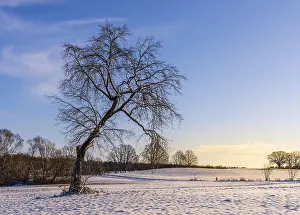 Agricultural Fields Europe Drucke: Winter landscape, fields and fields in Berlin Lubars