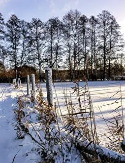 Berlin Winter Landscape Drucke: Winter landscape, fields and fields in Berlin Lubars
