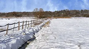 Agricultural Fields Europe Drucke: Winter landscape, fields and fields in Berlin Lubars