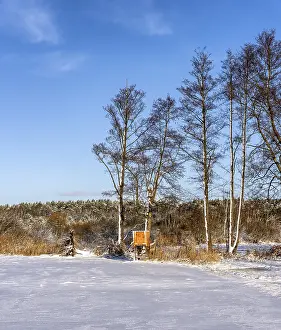German Countryside Winter Scene Drucke: Winter landscape, fields and fields in Berlin Lubars
