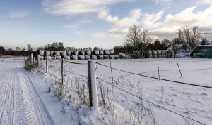 European Winter Landscape Photography Drucke: Winter landscape, fields and fields in Berlin Lubars