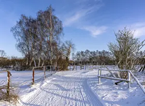 Central Europe Snowy Landscape Drucke: Winter landscape, fields and fields in Berlin Lubars