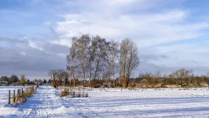 European Winter Scenery Drucke: Winter landscape, fields and fields in Berlin Lubars