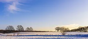 Berlin Winter Landscape Drucke: Winter landscape, fields and fields in Berlin Lubars