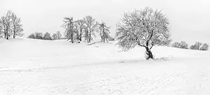 Deserted Winter Landscapes Drucke: Winter landscape in the low mountain range