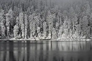 Europe Winter Wonderland Drucke: Winter landscape at Mummelsee, reflection of the forest