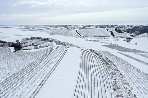 Winter Vineyard Landscape Drucke: Winter landscape with vineyards and fields