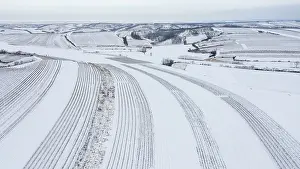 Winter Vineyard Landscape Drucke: Winter landscape with vineyards and fields