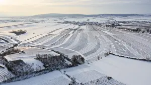 Aerial View Of Lower Austria Drucke: Winter landscape with vineyards and fields