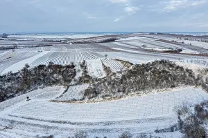 Drucke von Winterlandschaft mit Weinbergen und Feldern, von oben gesehen, Pulkautal, Weinviertel, Niederösterreich Luftaufnahme Drucke: Winterlandschaft mit Weinbergen und Feldern, Pulkautal, Weinviertel, Niederösterreich