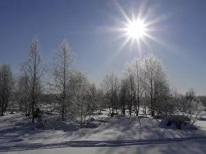 Northern Europe Snow Drucke: Winter in Lapland