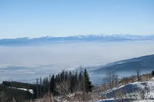 Wintry Nature Photography Drucke: Winter panoramic landscape with trees