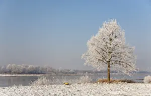 Wintry Landscape Photography Drucke: Winter on the Rhine