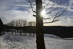 Snow Covered Countryside Scenery Drucke: Winter, snow, edge of the forest