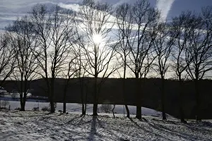Snow Covered Countryside Scenery Drucke: Winter, snow, edge of the forest