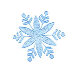 Deserted Winter Scene Drucke: Winter snowflake on white background