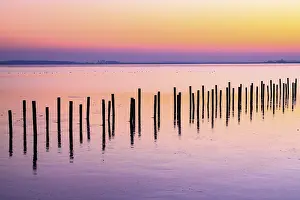 Winter Sunset Drucke: Winter sunset at the Dummer