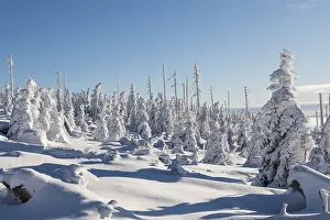 Deserted Winter Landscape Drucke: Winterlandschaft