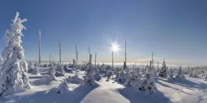 Uninhabited Frozen Wilderness Drucke: Winterlandschaft