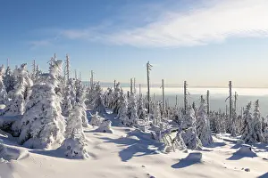 No People Winter Scenery Drucke: Winterlandschaft