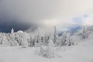 Deserted Winter Landscape Drucke: Winterlandschaft