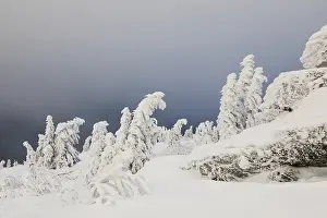 Uninhabited Frozen Wilderness Drucke: Winterlandschaft