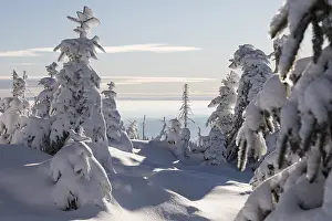 Uninhabited Frozen Wilderness Drucke: Winterlandschaft