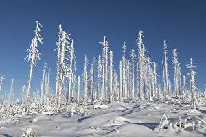 Deserted Winter Landscape Drucke: Winterlandschaft
