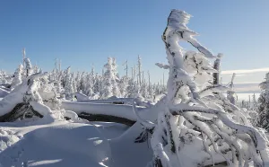 Deserted Winter Landscape Drucke: Winterlandschaft