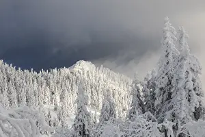 Uninhabited Frozen Wilderness Drucke: Winterlandschaft
